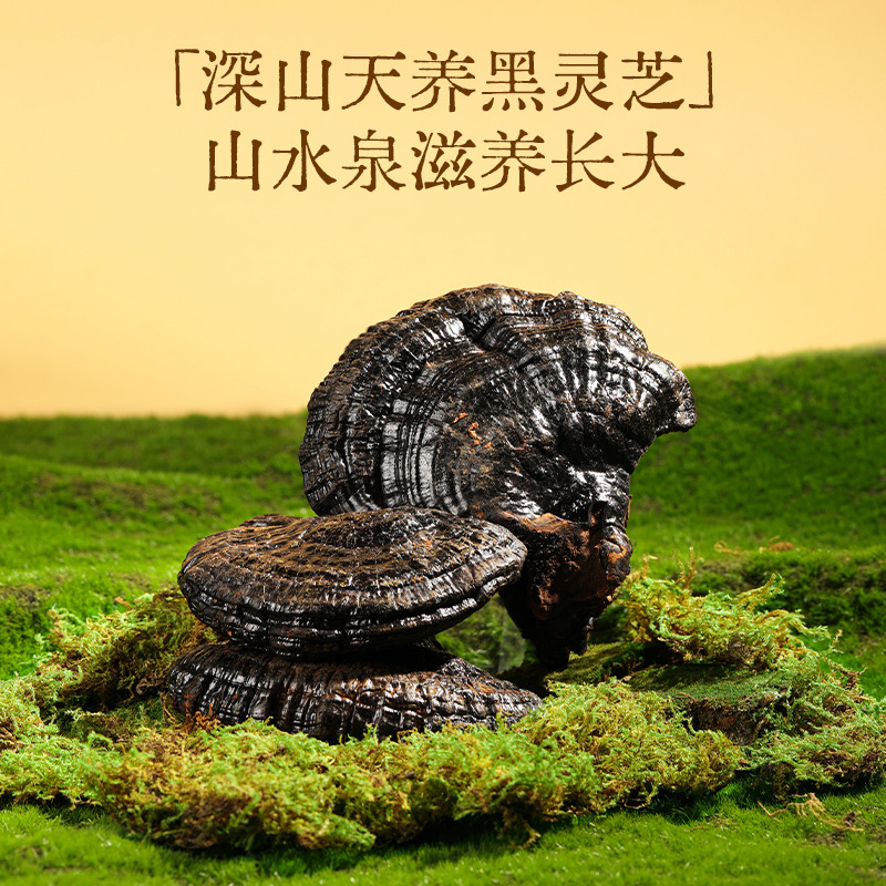 Dongfang Song Four-Herb Gift Box Xiaoman American Ginseng Black Reishi Goji Cordyceps 210g - Image 3