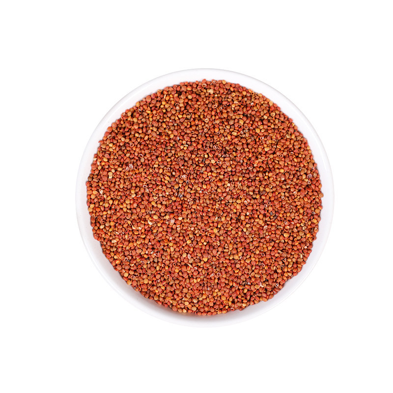 Premium Wild Chu Shi Zi Dried Broussonetia Fruit 500g for Herbal Tea and Decoction - Image 5
