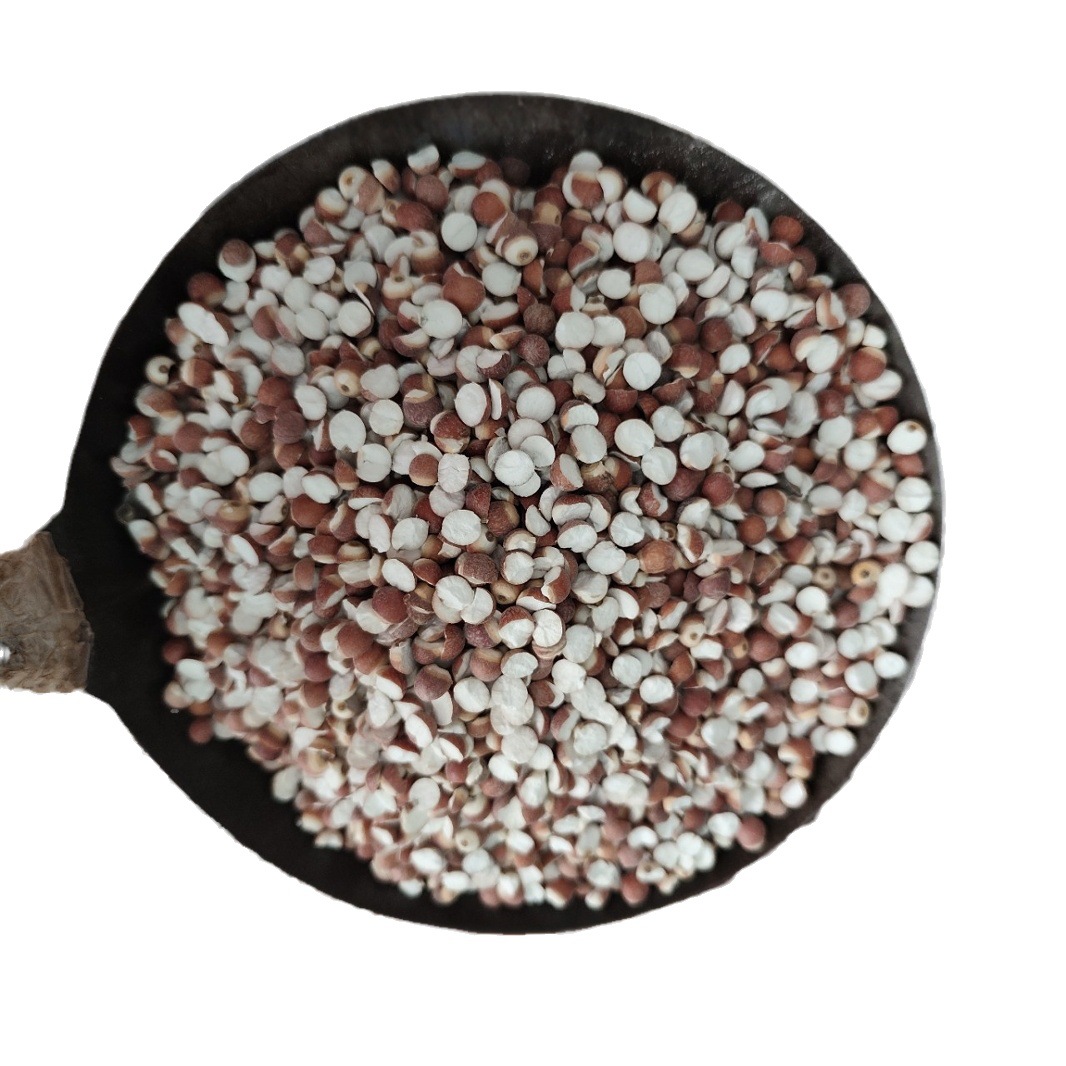 Dried Euryale Seed Qian Shi 芡实 Whole Round Kernels 10mm Grade 1 Herbal Grain for Soup and Congee - Image 5