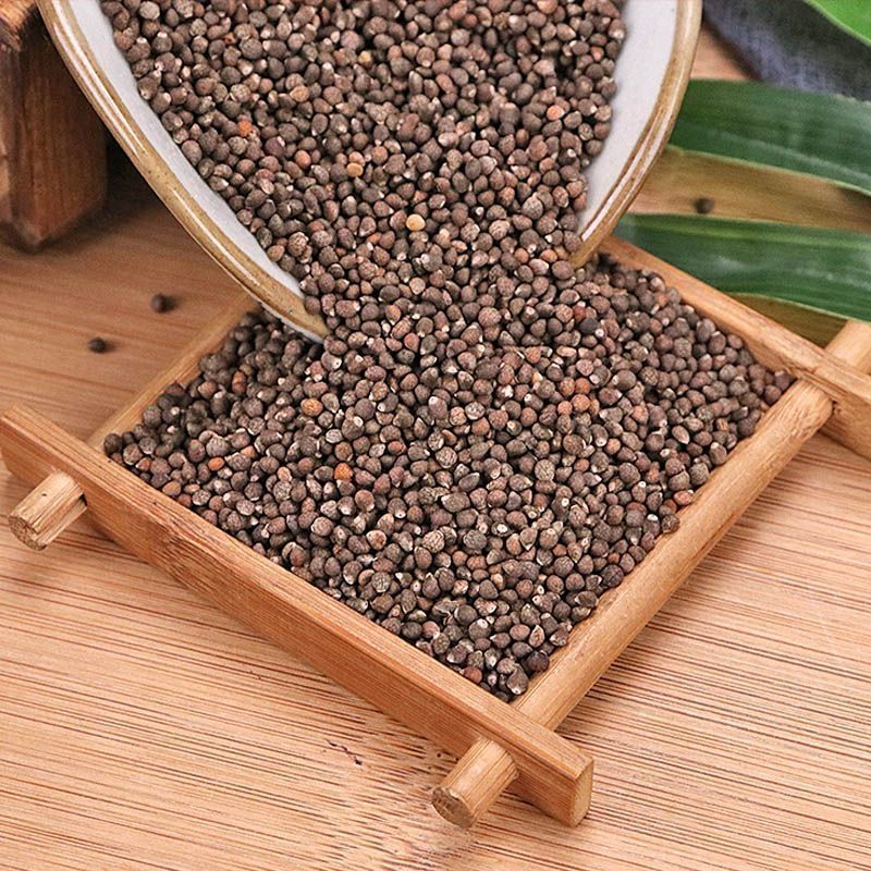 Perilla Seed Zi Su Zi 500g Dried Edible Seeds for Traditional Herbal Use - Image 2