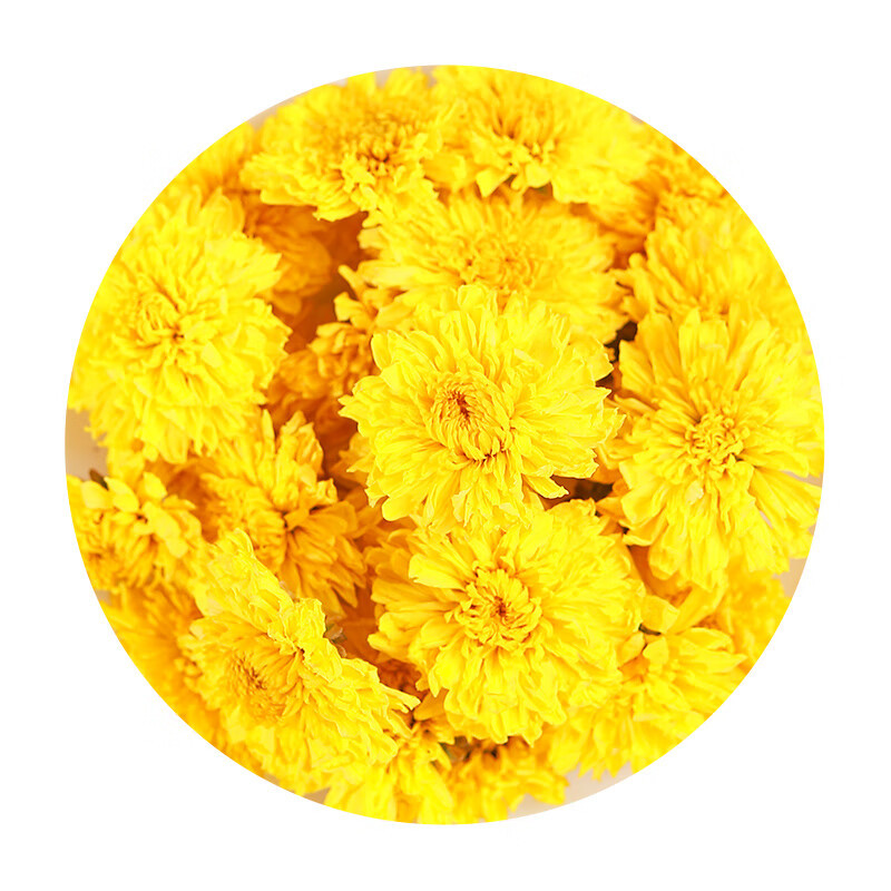 Huang Ju Hua Chrysanthemum Tea Loose Dried Flowers 500g Bag Natural Sun Dried for Brewing - Image 5