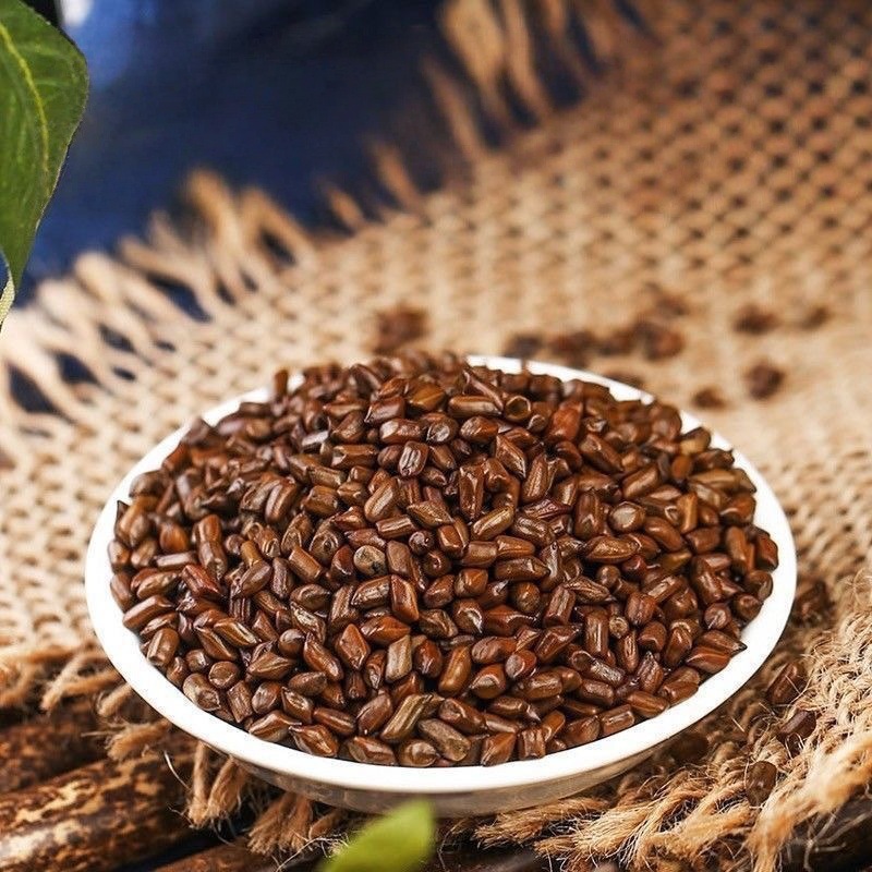 Cassia Seed Tea 500g Jue Ming Zi Stir Fried Herbal Tea for Daily Brewing - Image 3