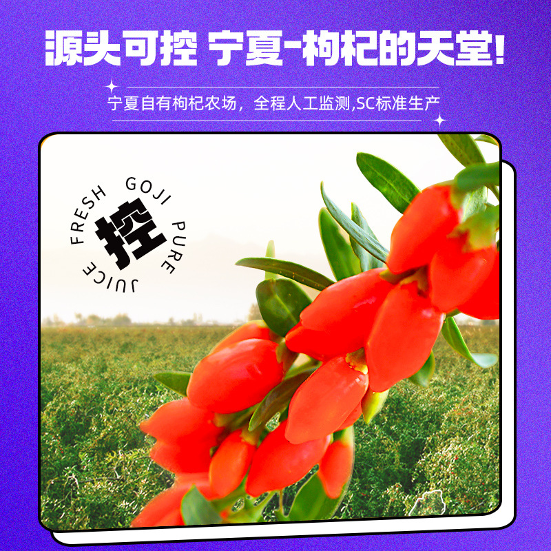 Goji Berry Puree Juice Ningxia Red Goji 300ml Ready to Drink with Straw - Image 5