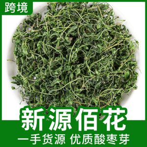 Suan Zao Ya Tea (Ziziphus jujuba var. spinosa) — First-Flush Wild Jujube Leaf Buds, 500g