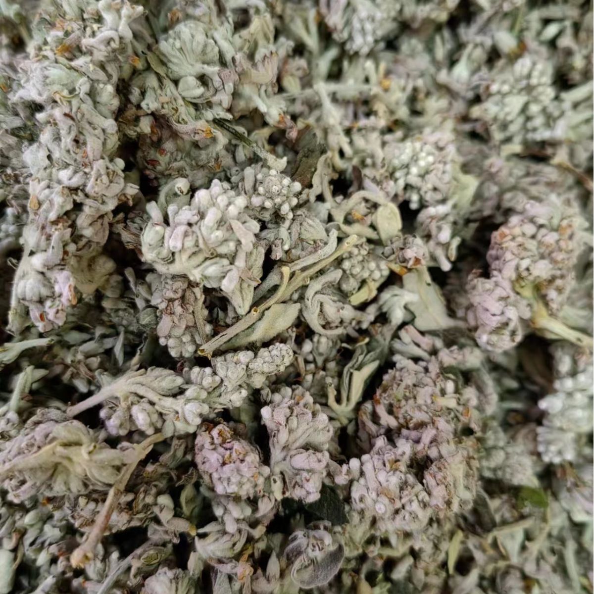 Mi Meng Hua (Buddleja officinalis) — Dried Flower Buds for Herbal Tea & TCM Blends - Image 4