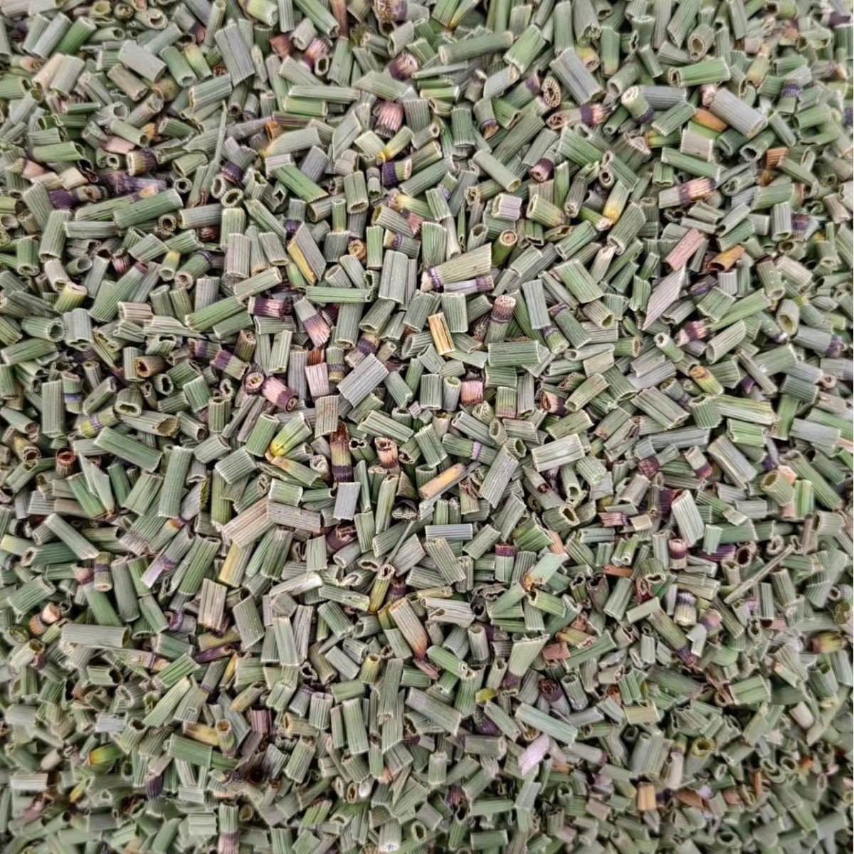 Mu Zei (Equisetum hyemale) — Dried Horsetail Herb, 500g, Food-Grade Botanical - Image 5