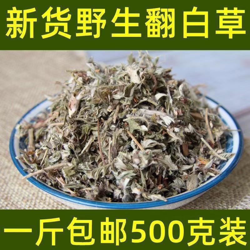 Fan Bai Cai Dried Potentilla Herb 500g Natural Sun Dried Raw Herbal Tea Material - Image 2