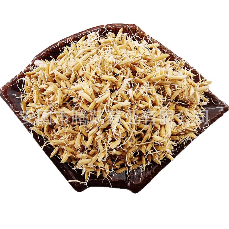 Dried Rice Sprout Dao Ya 谷芽 Raw Herb for Decoctions and Herbal Teas 1kg Bag - Image 5