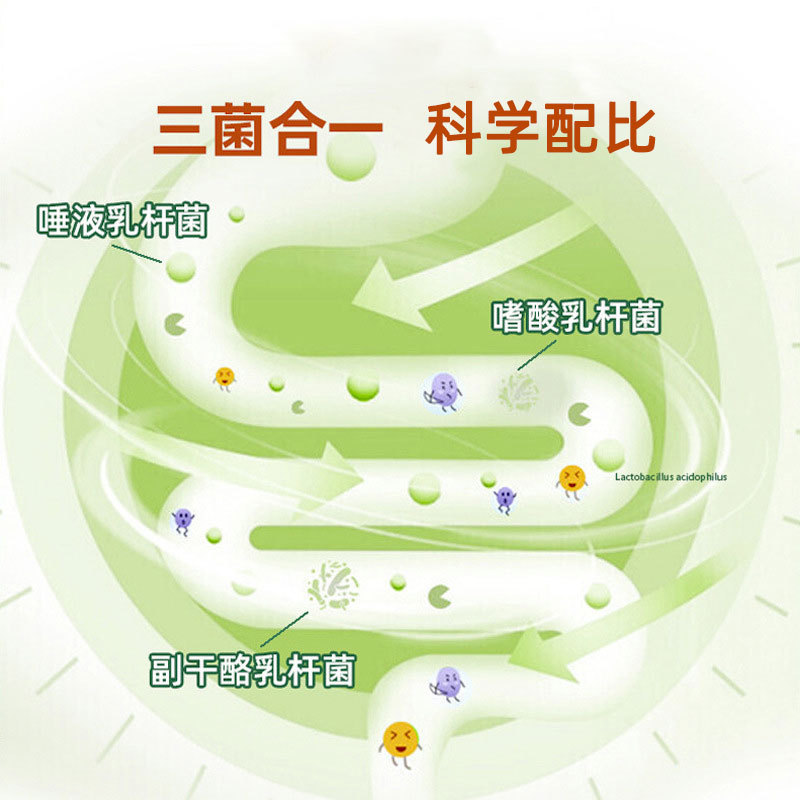 Taiwan Probiotic Grain & Fruit Enzyme Powder — Fermented Botanical Drink Mix with Dietary Fiber - Image 2