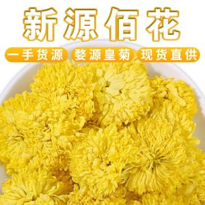 Wuyuan Imperial Chrysanthemum (Chrysanthemum morifolium) — Dried Golden Chrysanthemum Tea, 500g Loose