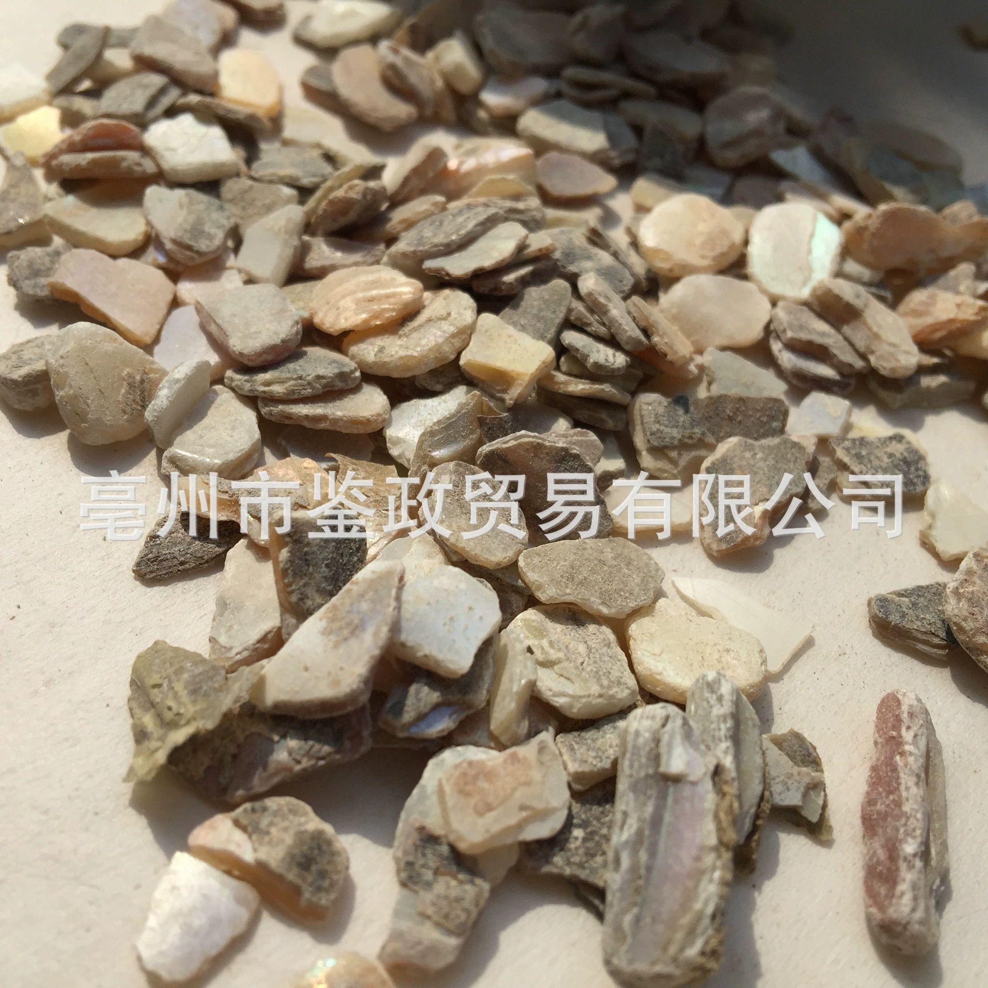 Zhen Zhu Mu Mother of Pearl Powder Raw Herb 500g Dried Concha Margaritifera for Traditional Decoctions - Image 2