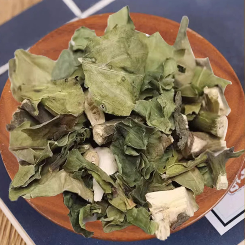 Da Bo Gu (Gendarussa vulgaris) — Dried TCM Herb for Bone-Setting & Wind-Damp Formulas - Image 2