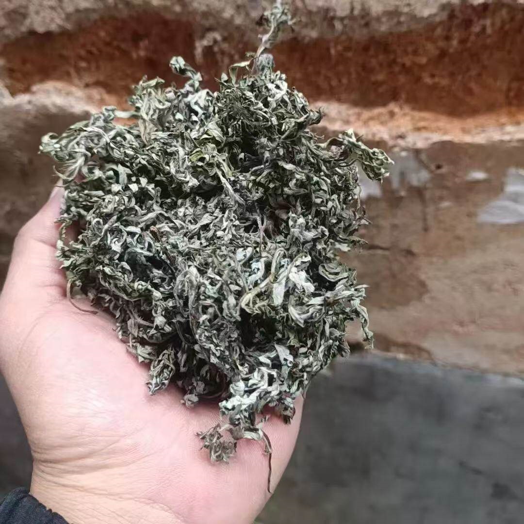 Wild Dried Mugwort Leaves Ai Ye Foot Soak Pack Traditional Chinese Herbal Bath - Image 4