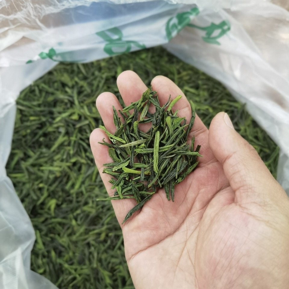 Lu An Gua Pian Green Tea 2026 Spring Pre-Rain Harvest Anhui Origin 250g Loose Leaf - Image 3