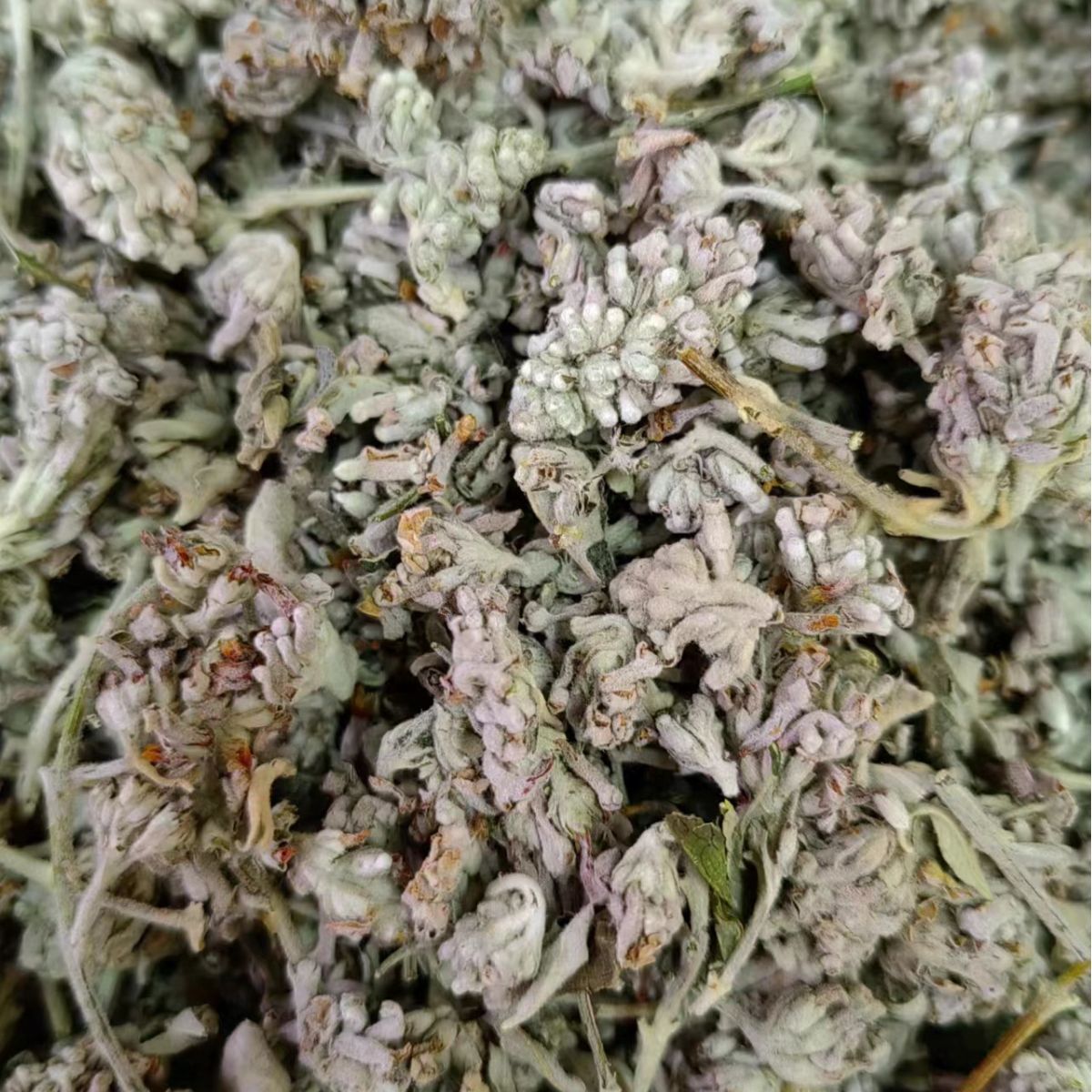 Mi Meng Hua (Buddleja officinalis) — Dried Flower Buds for Herbal Tea & TCM Blends - Image 3