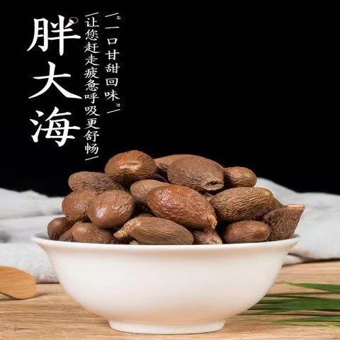 Fat Sea Seed Pang Da Hai Dried Herbal Fruit 50g Jar for Traditional Throat Tea - Image 3