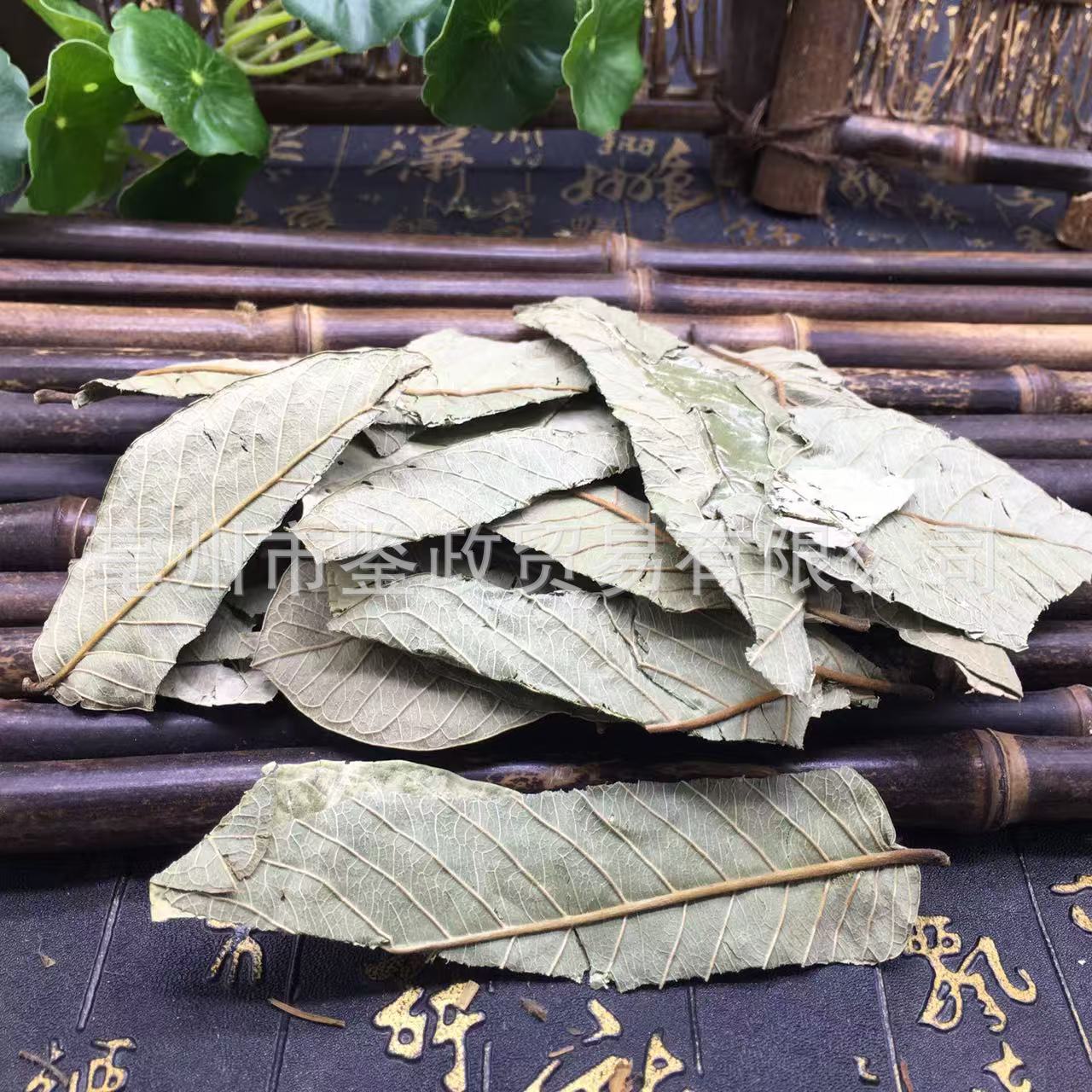 Guava Leaf Tea Folium Psidii Guajavae Fan Shi Liu Ye Dried Loose Leaves Bulk 500g - Image 3