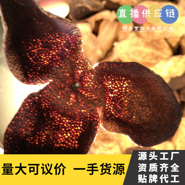 Aged Chenpi (Citrus reticulata) — Sun-Dried Xinhui Tangerine Peel, 10–20 Year Aged Dahongpi - Image 2