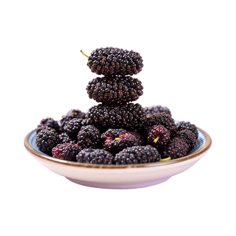 Dried Mulberry Fruit Sang Shen Zi 500g x 4 Bags Ready to Eat Black Mulberries for Tea Wine and Snacking - Image 5