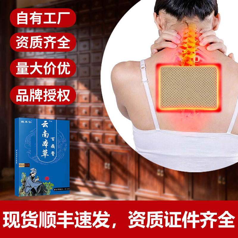 Yunnan Herbal Pain Relief Patch Self Heating Far Infrared Body Support Plaster 8 Patches - Image 3