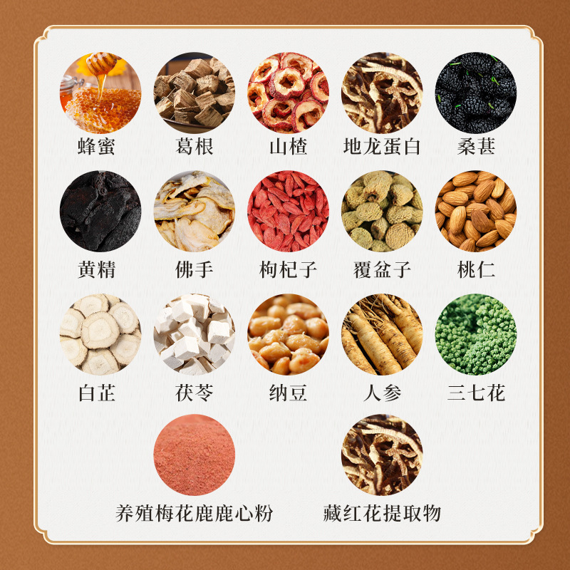 Dilong Shen Hua Pills Earthworm Saffron Ginseng Herbal Honey Pills 144g Daily Wellness Support - Image 3