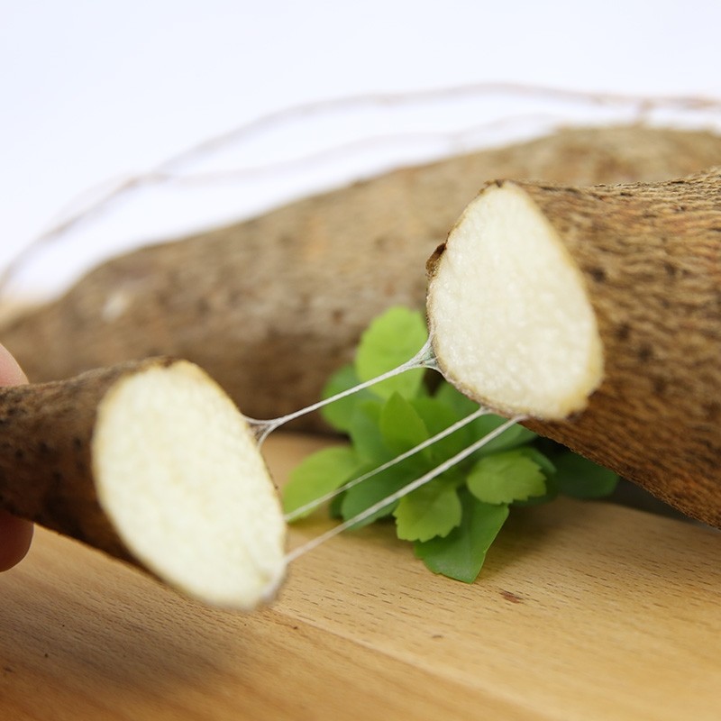 Fresh Wenxian Iron Stick Yam Chinese Yam Huai Shan 500g Henan Jiaozuo Origin - Image 3