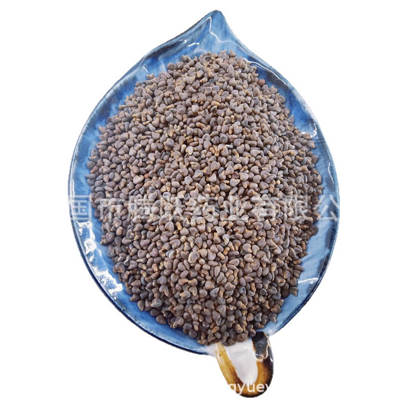 Dried Abutilon Seeds Qing Ma Zi 苘麻子 Bulk Bag 500g Traditional Chinese Herb - Image 5