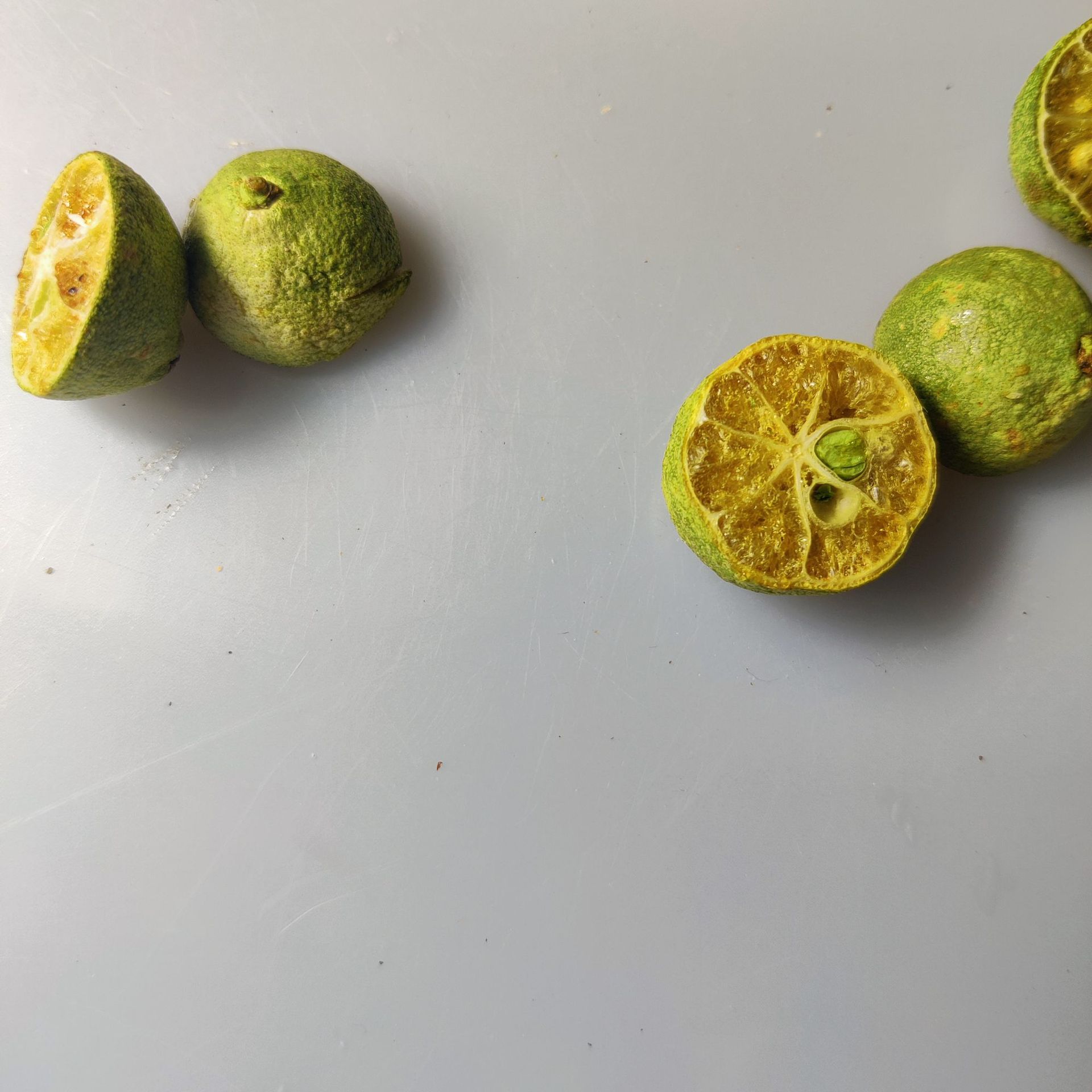 Dried Green Kumquat Halves Qing Jin Ju Freeze Dried Citrus Slices for Fruit Tea and Blends 500g - Image 5