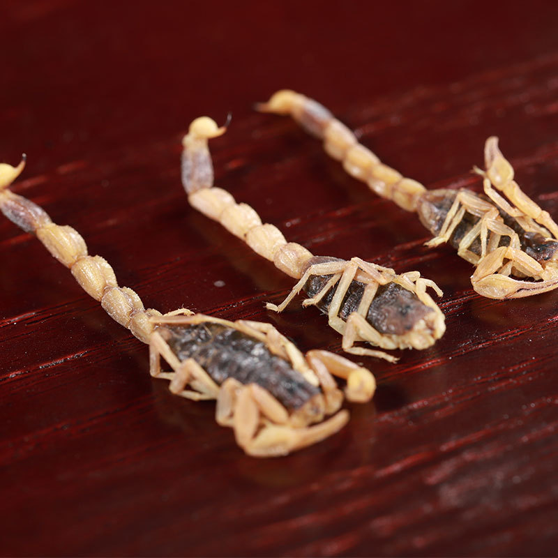 Quan Xie (Scorpion) Dried Whole Scorpion — Traditional Chinese Herb, 500g - Image 2