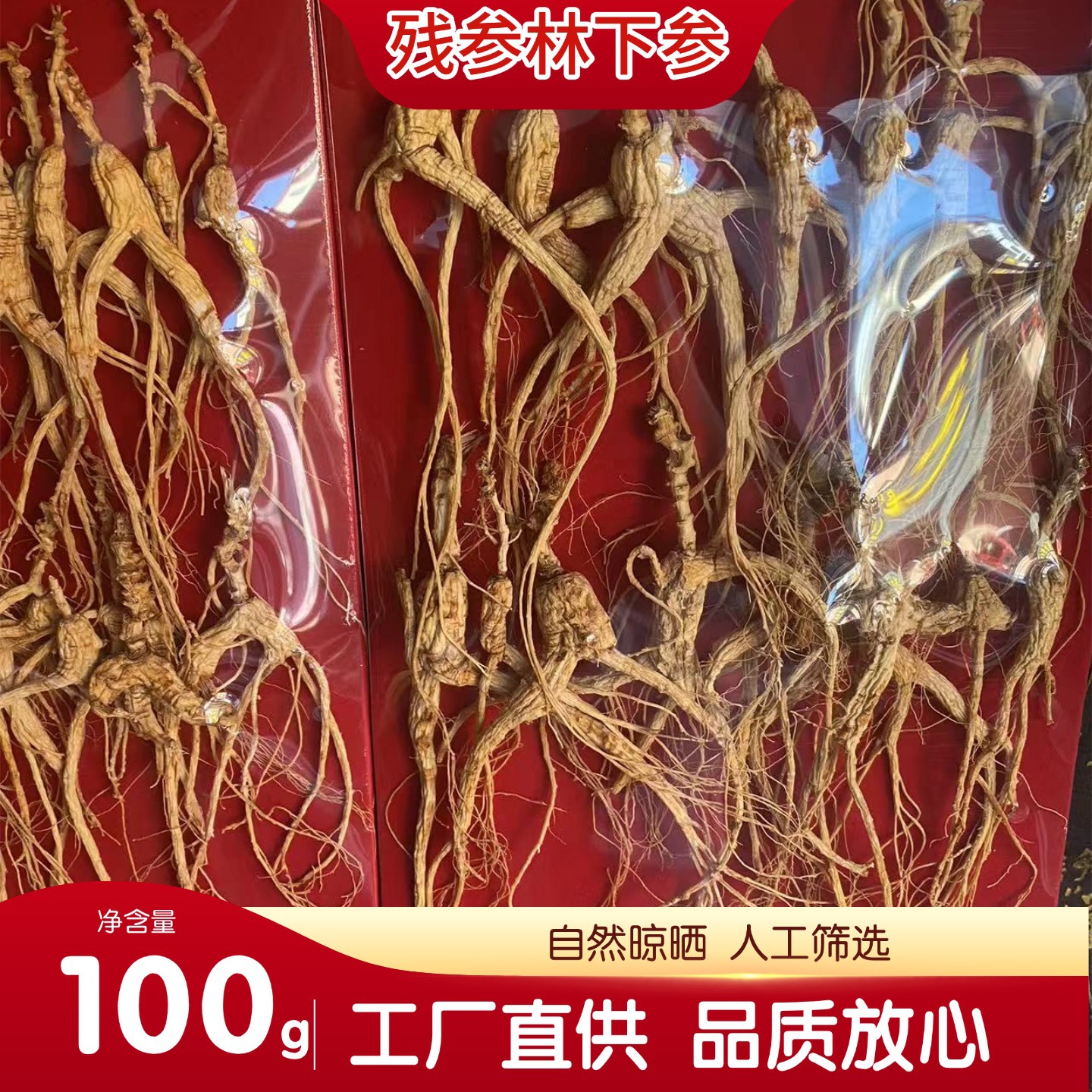 Dried Forest Ginseng Root Slices 100g Sun Dried Jilin Ginseng for Cooking and Decoction - Image 2