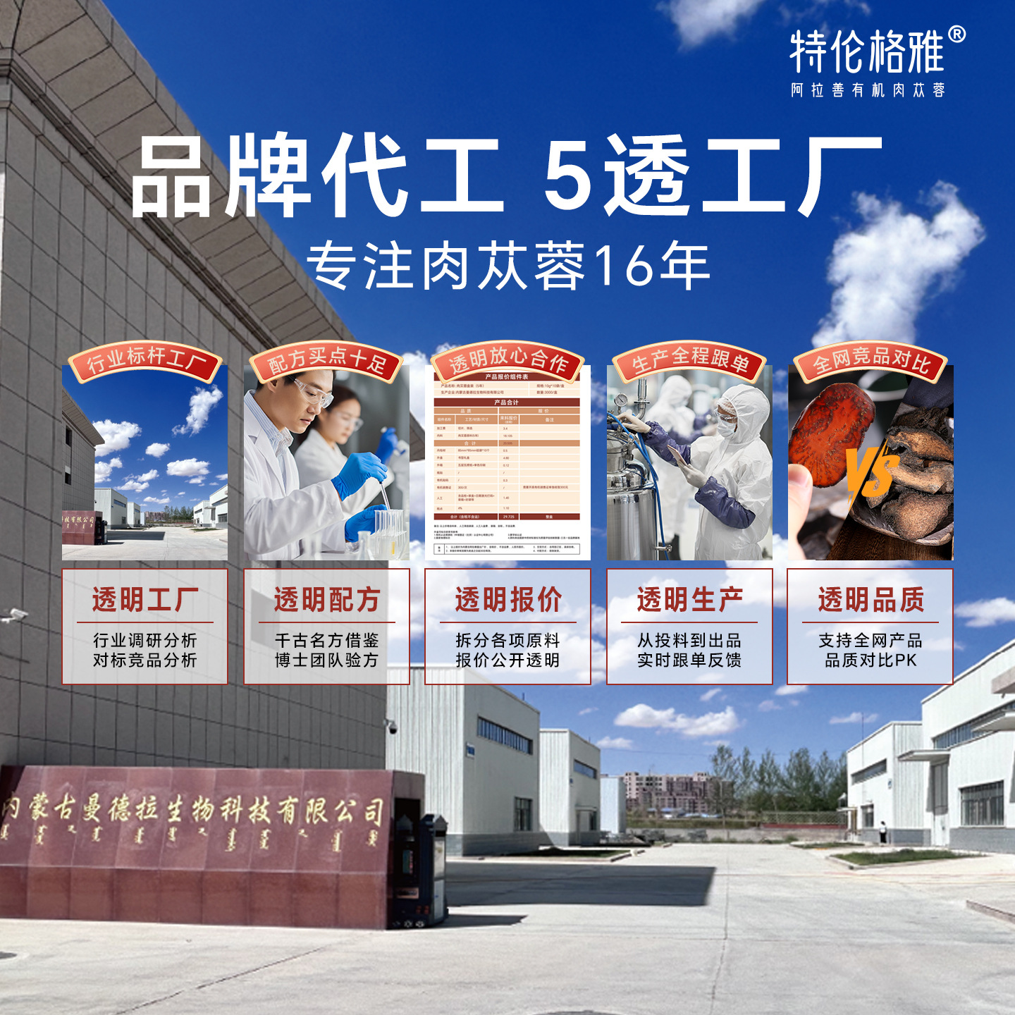 Organic Sulfur-Free Cistanche Deserticola Slices from Inner Alxa 10g Packets Dried Herbal Decoction Pieces - Image 2