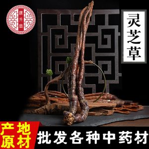 Ling Zhi Cao (Ganoderma lucidum) — Dried Reishi Herb for Tea, Soup & Wine Infusion