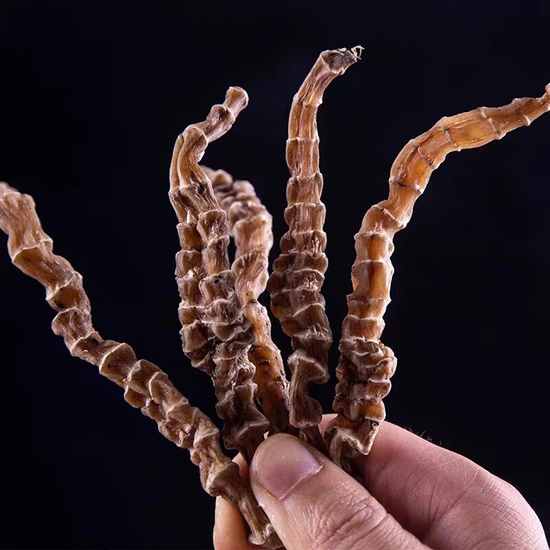 Dried Di Shen Root 500g Chinese Cordyceps Ginseng Herbal Soup Ingredient - Image 2