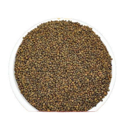 Sha Yuan Zi (Astragalus complanatus) — Sulfur-Free Wild Dried Seeds for Tea & Tonic - Image 5