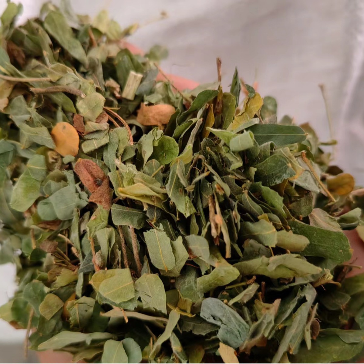 Ji Gu Cao (Abrus cantoniensis) — Dried Food Herb Vine for Herbal Tea & Soup - Image 3