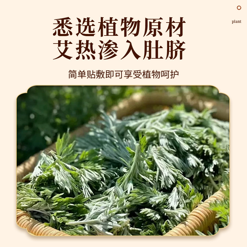 Mugwort Warming Patch Ai Cao Nuan Tie Herbal Heat Patch for Navel and Lower Back 5 Patches per Box - Image 3