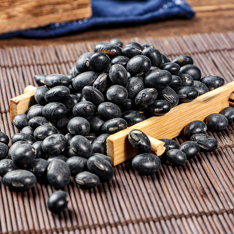 Black Soybeans (Glycine max) — Dried Food-Herb Beans from Heilongjiang for Soups & Congee - Image 3