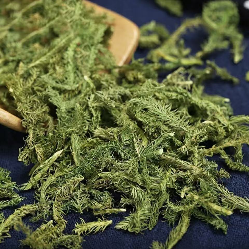 Shen Jin Cao Dried Clubmoss Whole Herb 500g Bulk Sichuan Origin Traditional TCM Ingredient - Image 2