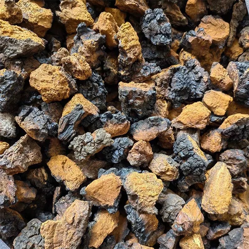 Premium Wild Chaga Mushroom Slices Bai Hua Rong for Traditional Herbal Decoction 20g Box - Image 2