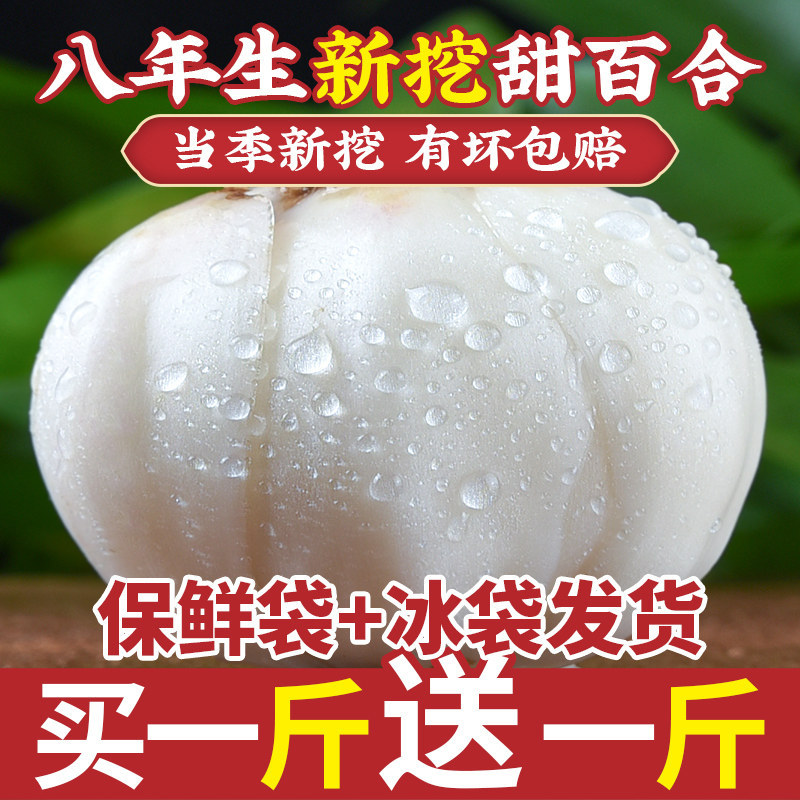 Fresh Lanzhou Lily Bulbs 500g Sweet Edible Bai He Premium Grade - Image 2