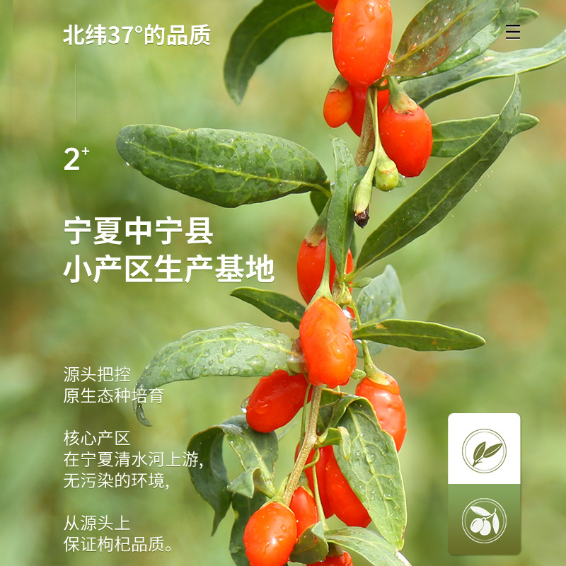 Ning'anbao Goji Berry Gift Box Ningxia Zhongning Gouqi Zi Premium Large Grade 450g - Image 3