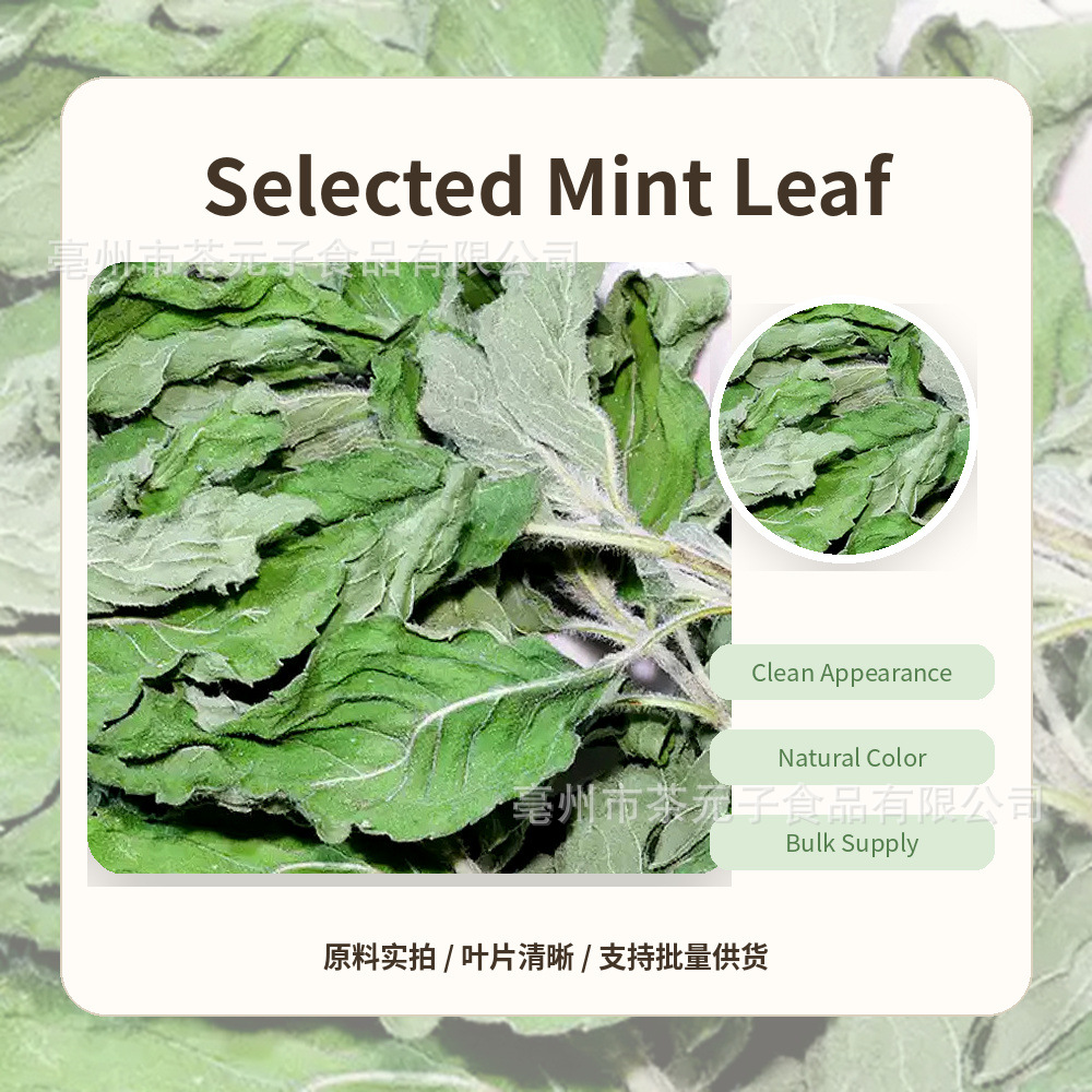 Dried Peppermint Leaf Bo He 薄荷叶 Herbal Tea Ingredient 500g - Image 2