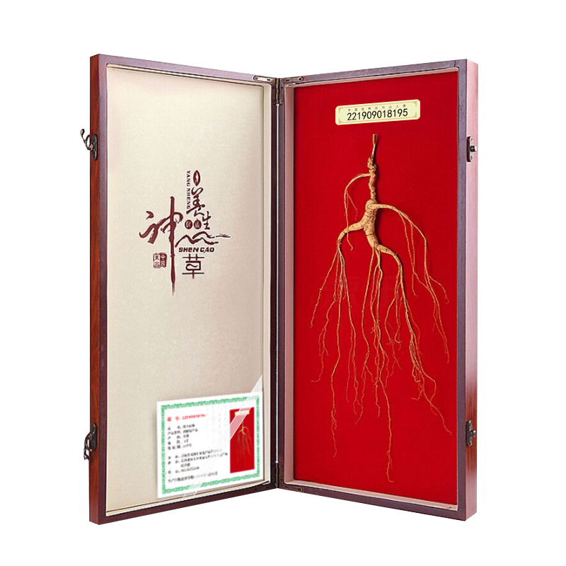 Wild Mountain Ginseng Gift Box Dried Root Slices 15 Years and Above for Soup and Decoction - Image 5