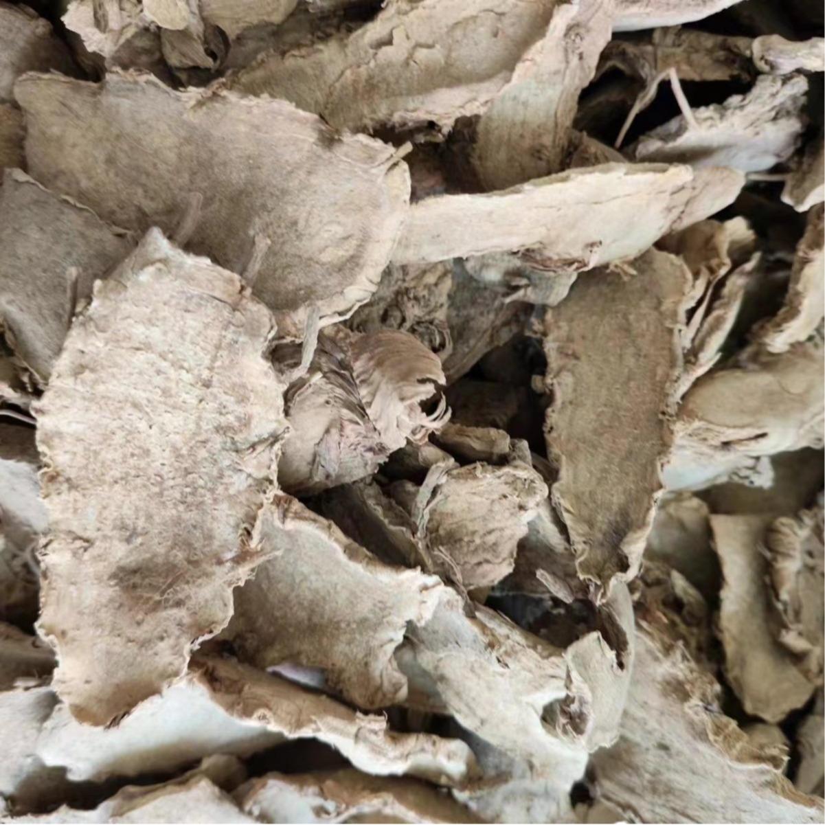 Pian Jiang Huang Slices (Curcuma wenyujin) — Dried Food Herb for Tea & Soup - Image 4