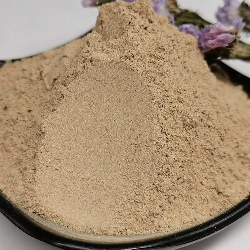 Dang Shen Powder Codonopsis Root Fine Ground Herbal Powder 500g Bulk Culinary and Tea Use - Image 3