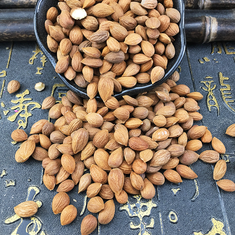 Chinese Bush Cherry Seed Yu Li Ren Prunus humilis Dried Herbal Powder Bulk Wholesale - Image 3
