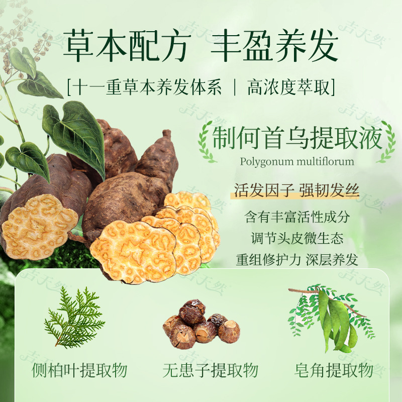 He Shou Wu Herbal Shampoo 300ml Scalp Care and Hair Cleansing for Daily Use - Image 3