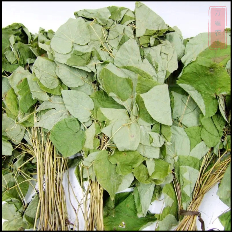 Epimedium Leaf Yin Yang Huo 500g Dried Herba Epimedii for Tea and Wine Infusion - Image 3