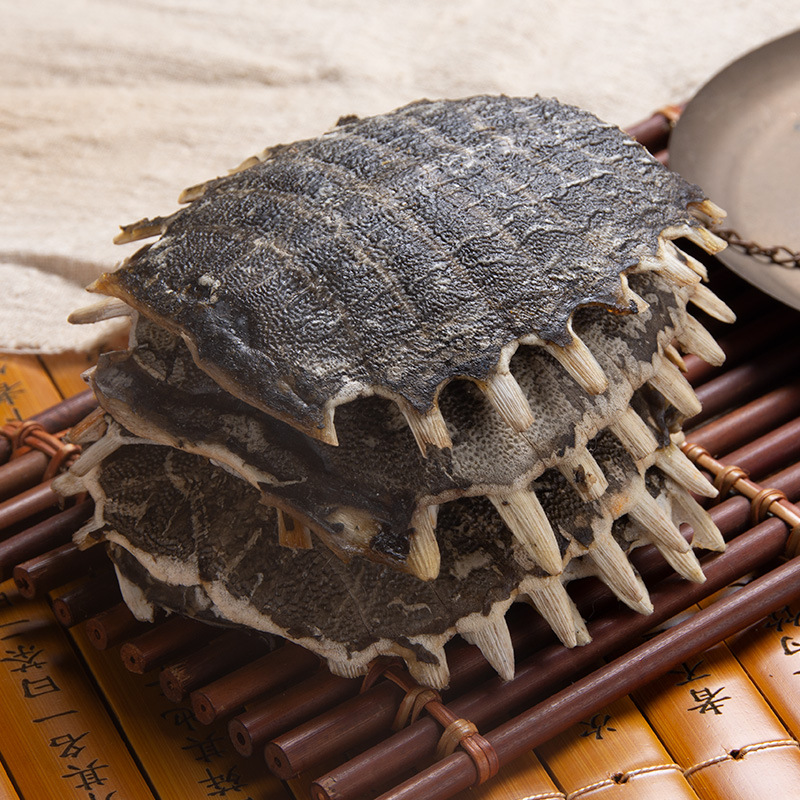 Whole Turtle Shell Bie Jia 鳖甲 Dried Chinese Herbal Material for Decoction or Grinding 1 Piece 11-12 cm - Image 4