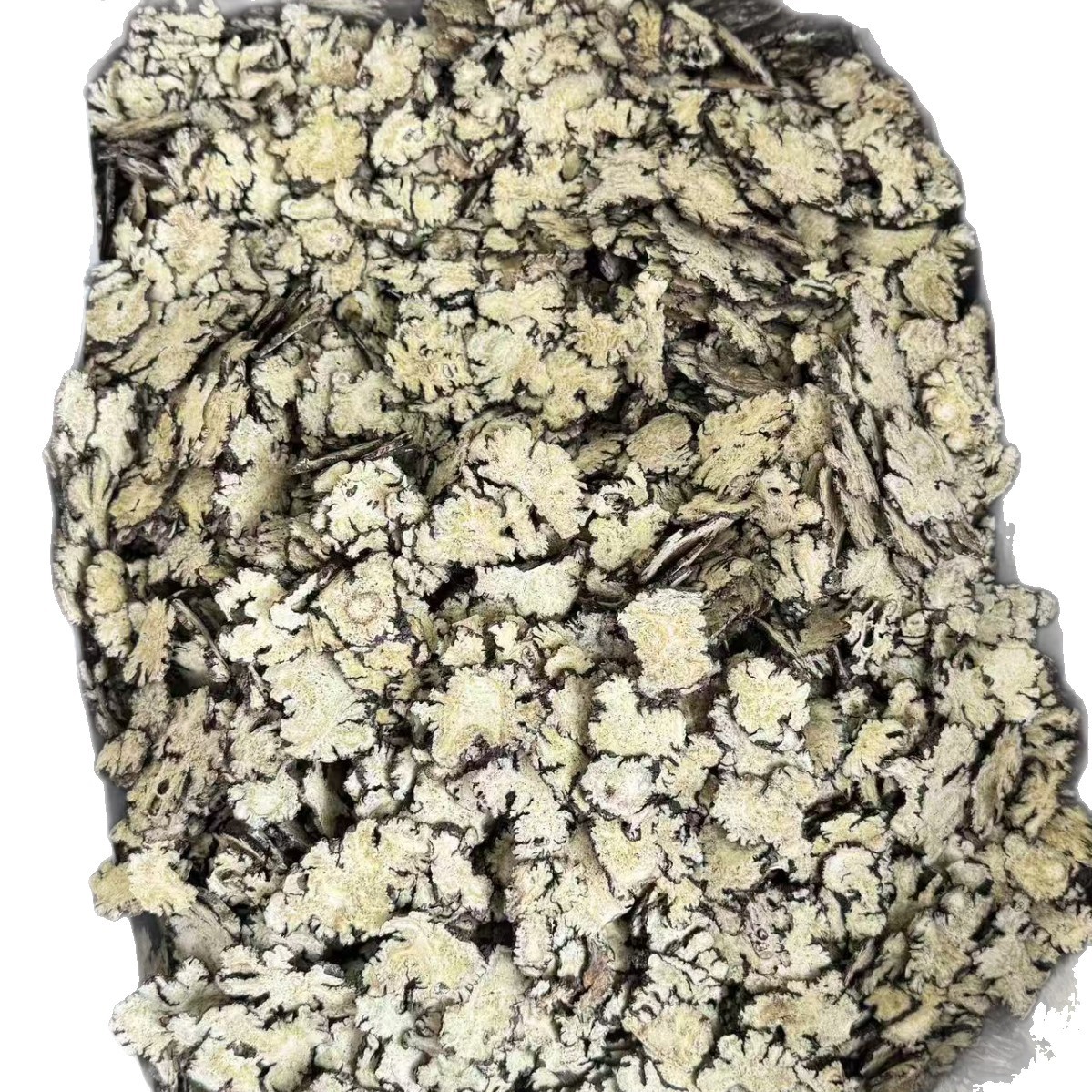 Chuan Xiong Sichuan Lovage Rhizome Slices Dried Herb for Decoction and Tea 500g - Image 5